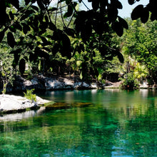 Cargar imagen en el visor de la galería, 6D 5N en Playa del Carmen + ¡Menores Gratis! 👧🏻👦🏼