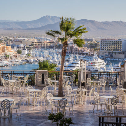 6D 5N en Los Cabos + Hotel 5⭐ + All-Inclusive 🥂