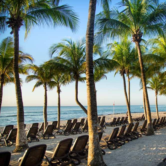 6D 5N en Playa del Carmen + 2 Menores (0-12 años) 👧🏻👦🏼