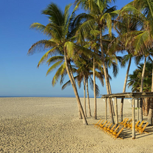 Cargar imagen en el visor de la galería, 5D 4N en Paradisus Los Cabos + Servicio 4💎 + Traslados 🚖

