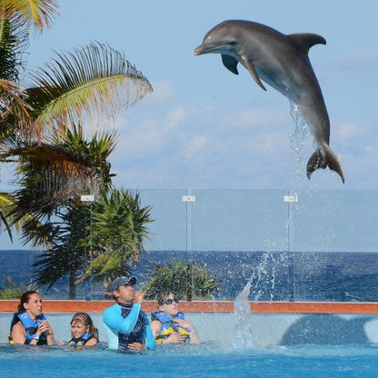 6D 5N en Riviera Maya Hotel 5⭐ +  2 Menores (0-11 años) 👧🏻👦🏼 + All-Inclusive 🥂