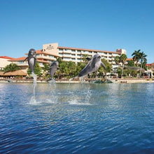 Cargar imagen en el visor de la galería, Delfines en riviera maya 
