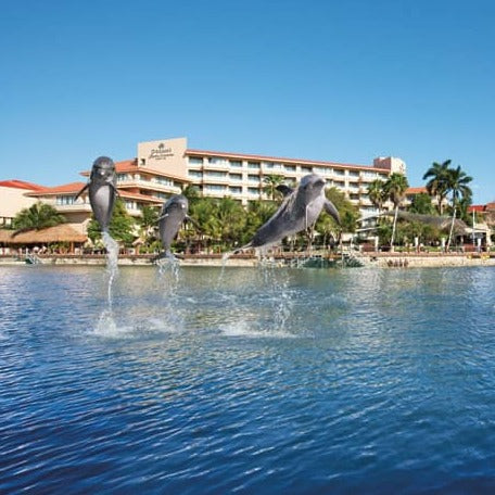 Delfines en riviera maya 